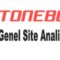 Stonebet Genel Site Analizi